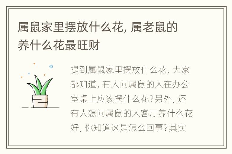 属鼠家里摆放什么花，属老鼠的养什么花最旺财