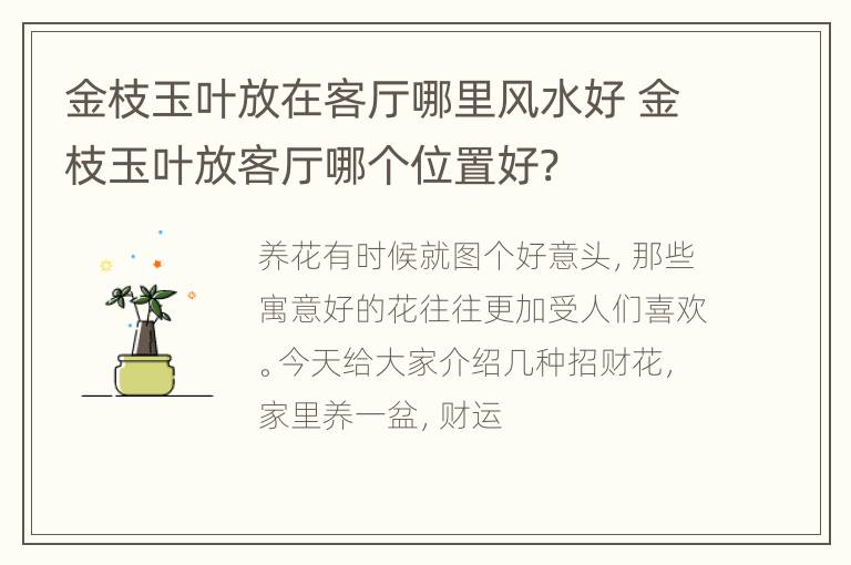 金枝玉叶放在客厅哪里风水好 金枝玉叶放客厅哪个位置好?