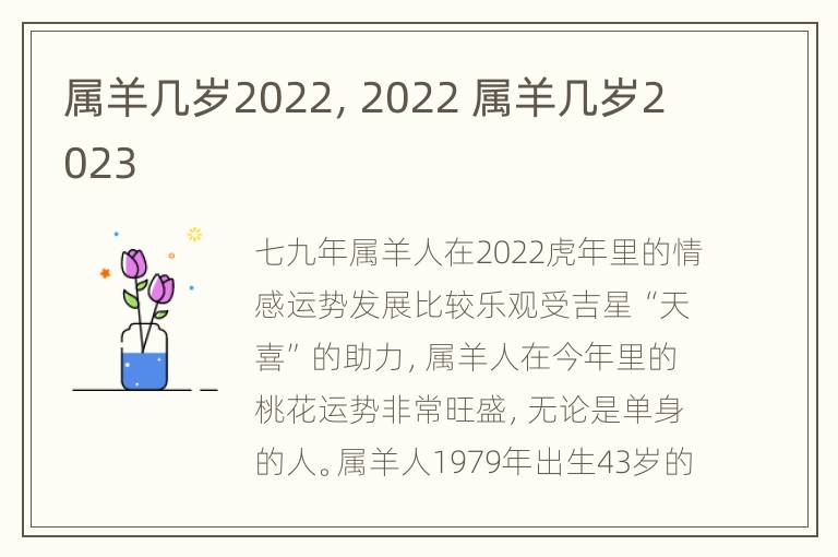 属羊几岁2022，2022 属羊几岁2023