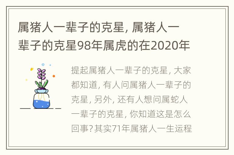 属猪人一辈子的克星，属猪人一辈子的克星98年属虎的在2020年考学怎样