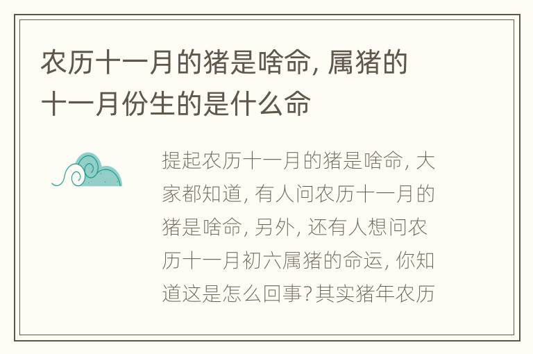 农历十一月的猪是啥命，属猪的十一月份生的是什么命