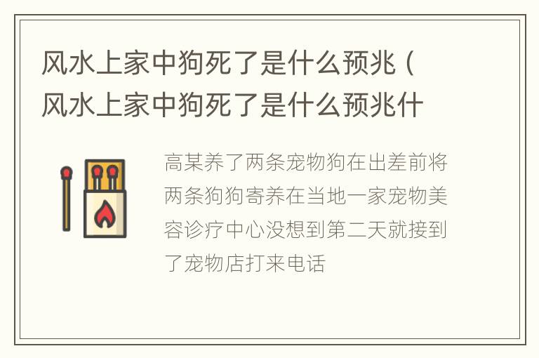 风水上家中狗死了是什么预兆（风水上家中狗死了是什么预兆什么叫非命）