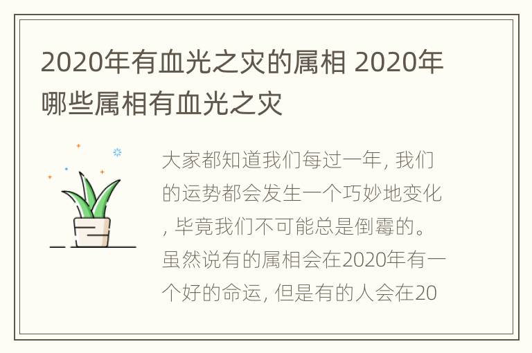 2020年有血光之灾的属相 2020年哪些属相有血光之灾