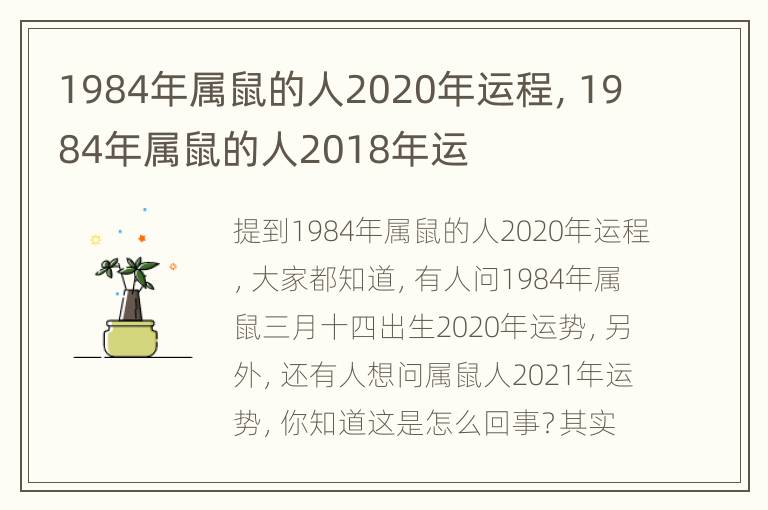 1984年属鼠的人2020年运程，1984年属鼠的人2018年运