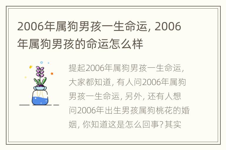 2006年属狗男孩一生命运，2006年属狗男孩的命运怎么样