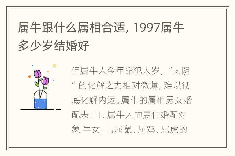 属牛跟什么属相合适，1997属牛多少岁结婚好