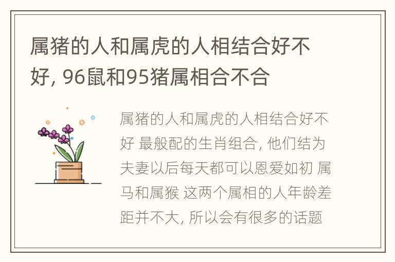 属猪的人和属虎的人相结合好不好，96鼠和95猪属相合不合