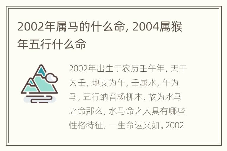 2002年属马的什么命，2004属猴年五行什么命