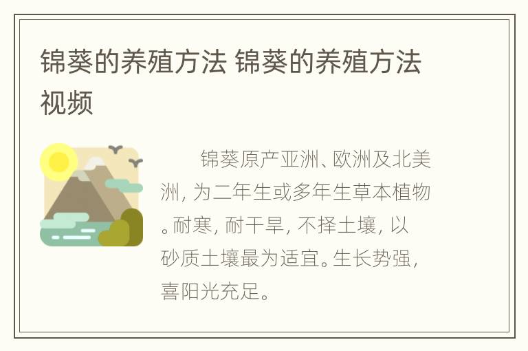 锦葵的养殖方法 锦葵的养殖方法视频