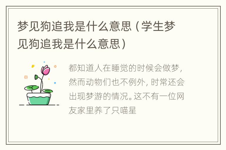 梦见狗追我是什么意思（学生梦见狗追我是什么意思）