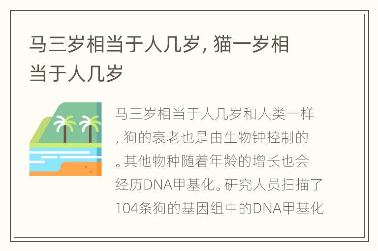 马三岁相当于人几岁，猫一岁相当于人几岁