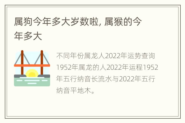 属狗今年多大岁数啦，属猴的今年多大