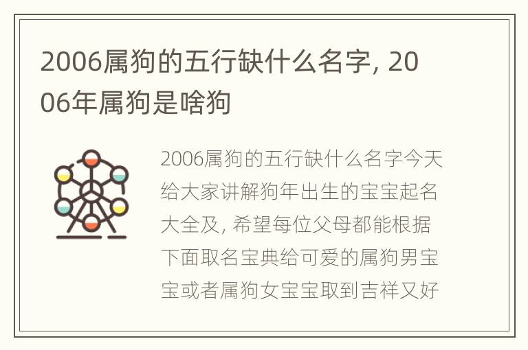 2006属狗的五行缺什么名字，2006年属狗是啥狗