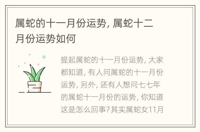 属蛇的十一月份运势，属蛇十二月份运势如何