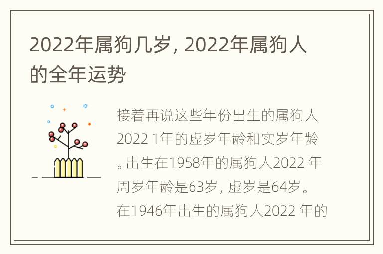 2022年属狗几岁，2022年属狗人的全年运势