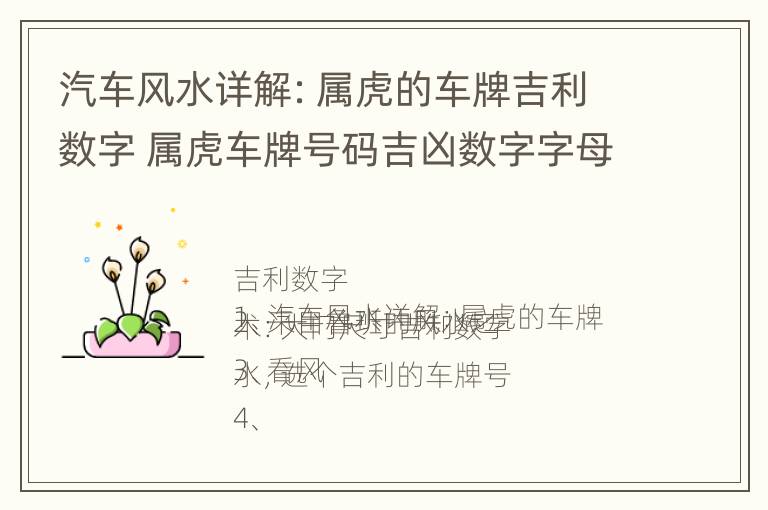 汽车风水详解：属虎的车牌吉利数字 属虎车牌号码吉凶数字字母