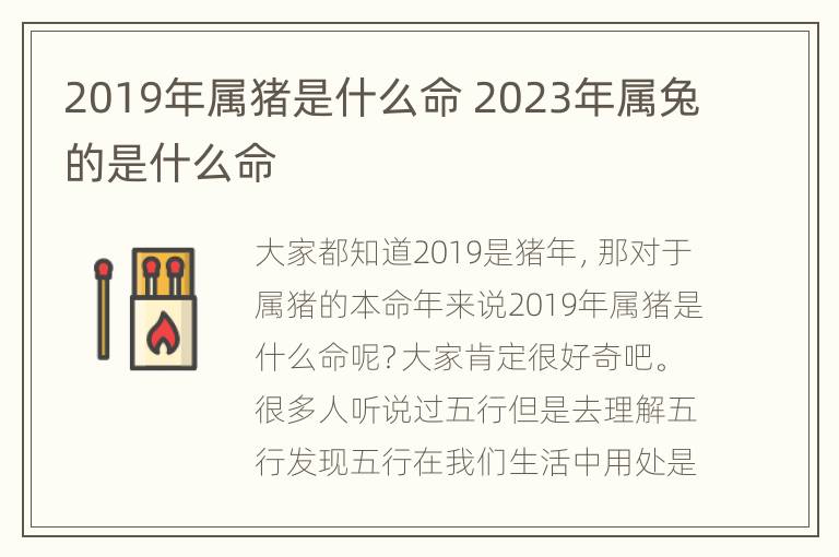 2019年属猪是什么命 2023年属兔的是什么命