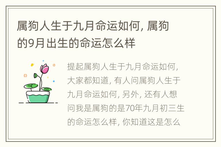 属狗人生于九月命运如何，属狗的9月出生的命运怎么样