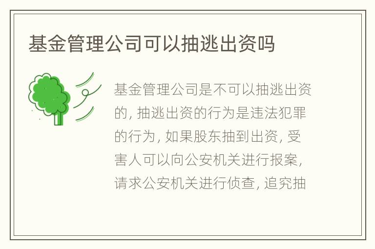 基金管理公司可以抽逃出资吗