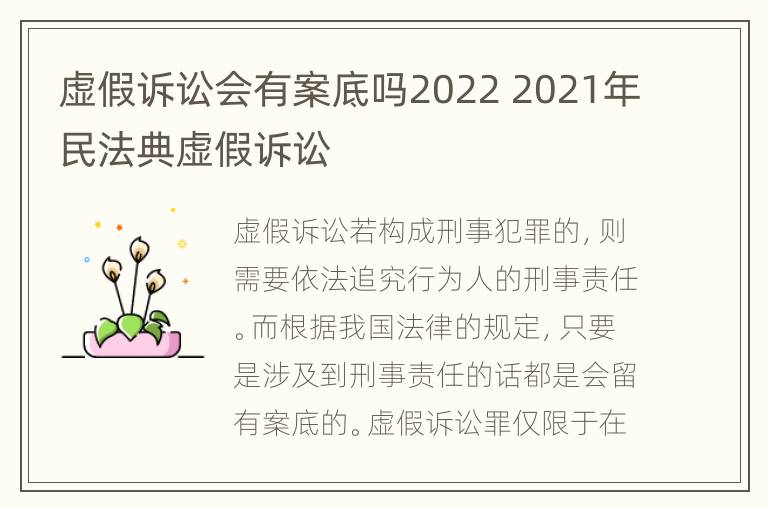 虚假诉讼会有案底吗2022 2021年民法典虚假诉讼