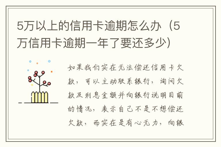 5万以上的信用卡逾期怎么办（5万信用卡逾期一年了要还多少）