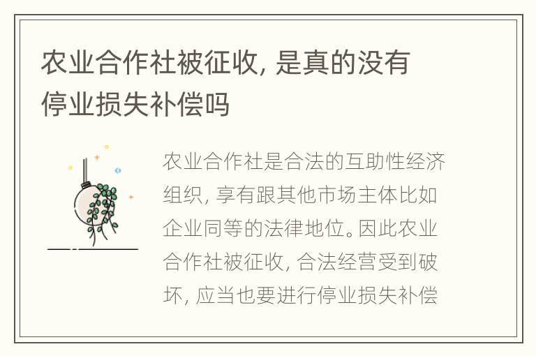 农业合作社被征收，是真的没有停业损失补偿吗