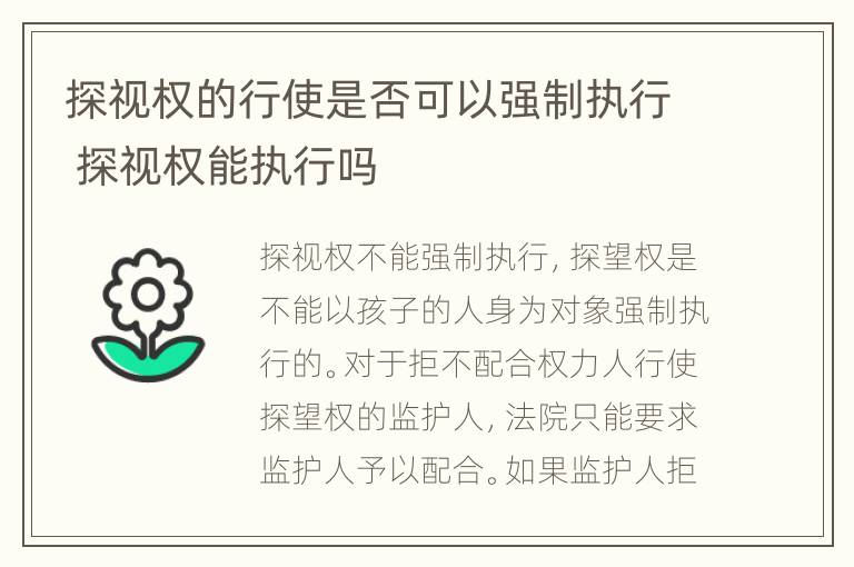 探视权的行使是否可以强制执行 探视权能执行吗