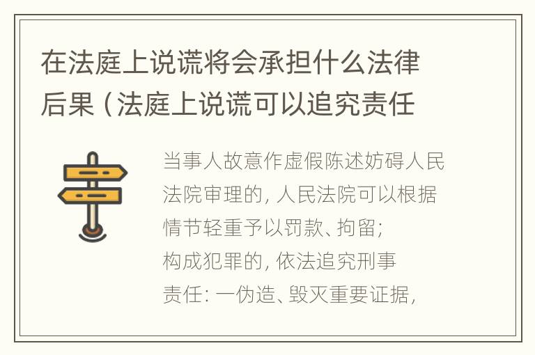 在法庭上说谎将会承担什么法律后果（法庭上说谎可以追究责任吗?）