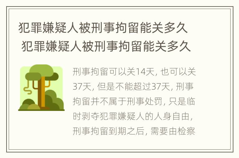 犯罪嫌疑人被刑事拘留能关多久 犯罪嫌疑人被刑事拘留能关多久呢