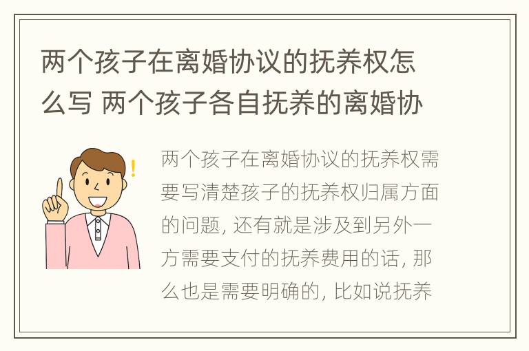 两个孩子在离婚协议的抚养权怎么写 两个孩子各自抚养的离婚协议