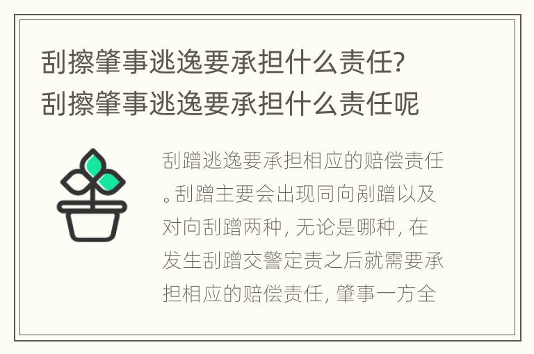 刮擦肇事逃逸要承担什么责任? 刮擦肇事逃逸要承担什么责任呢