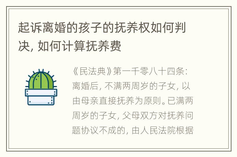 起诉离婚的孩子的抚养权如何判决，如何计算抚养费