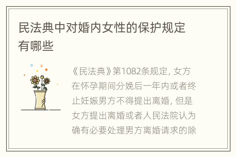 民法典中对婚内女性的保护规定有哪些