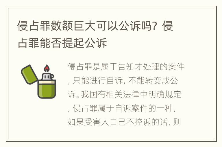 侵占罪数额巨大可以公诉吗？ 侵占罪能否提起公诉