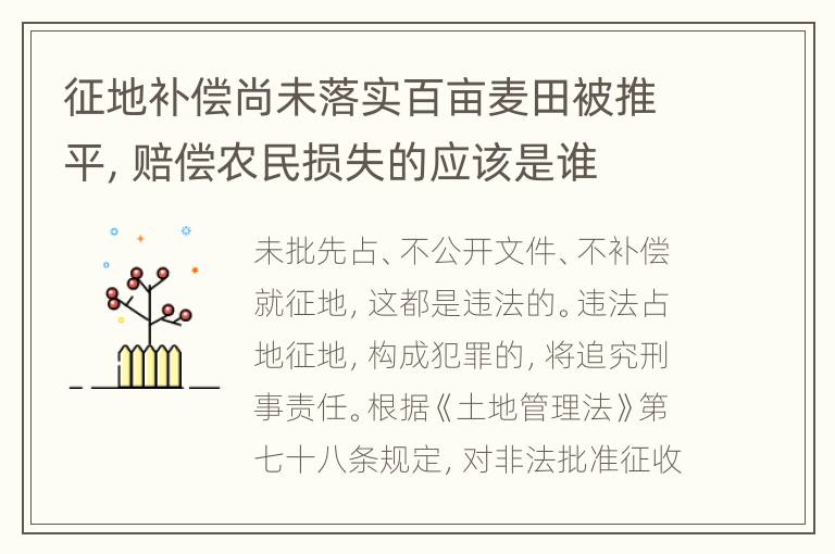 征地补偿尚未落实百亩麦田被推平，赔偿农民损失的应该是谁