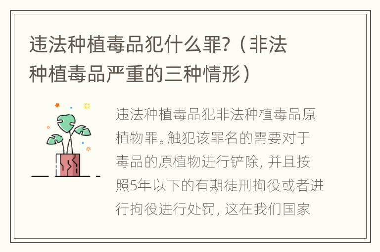 违法种植毒品犯什么罪？（非法种植毒品严重的三种情形）