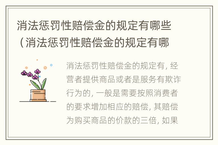 消法惩罚性赔偿金的规定有哪些（消法惩罚性赔偿金的规定有哪些呢）