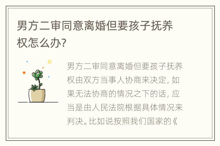 男方二审同意离婚但要孩子抚养权怎么办？