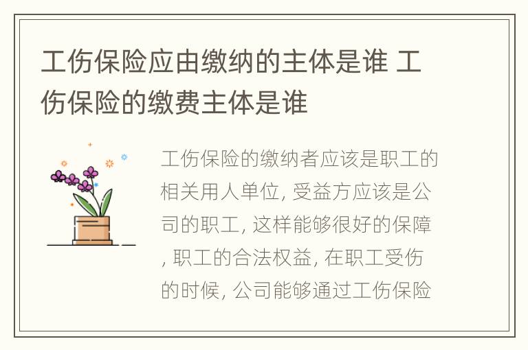 工伤保险应由缴纳的主体是谁 工伤保险的缴费主体是谁