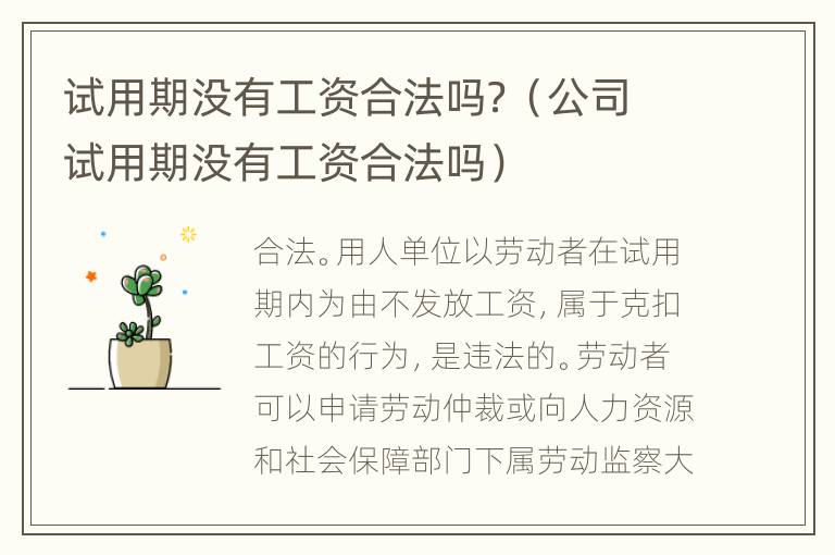 试用期没有工资合法吗？（公司试用期没有工资合法吗）