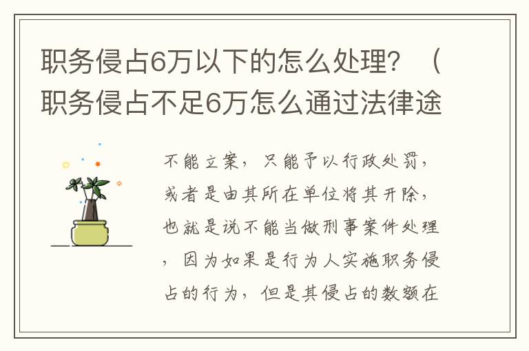 职务侵占6万以下的怎么处理？（职务侵占不足6万怎么通过法律途径解决）