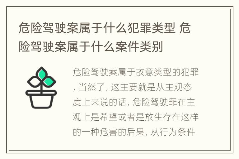 危险驾驶案属于什么犯罪类型 危险驾驶案属于什么案件类别