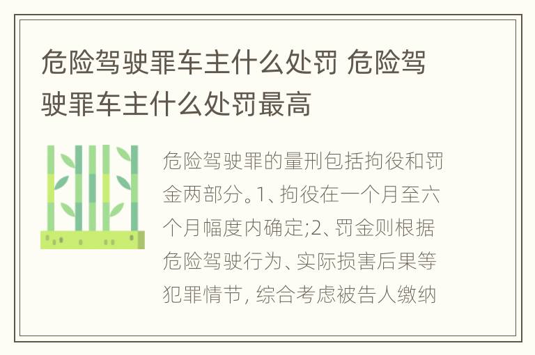 危险驾驶罪车主什么处罚 危险驾驶罪车主什么处罚最高