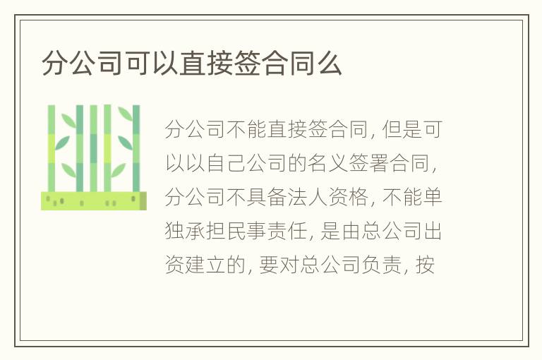 分公司可以直接签合同么