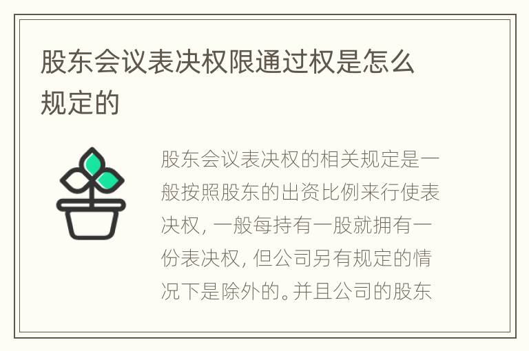 股东会议表决权限通过权是怎么规定的