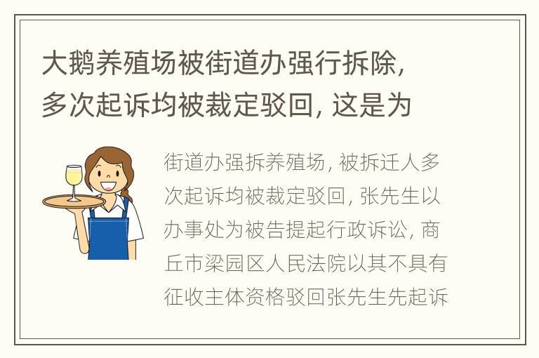 大鹅养殖场被街道办强行拆除，多次起诉均被裁定驳回，这是为啥？