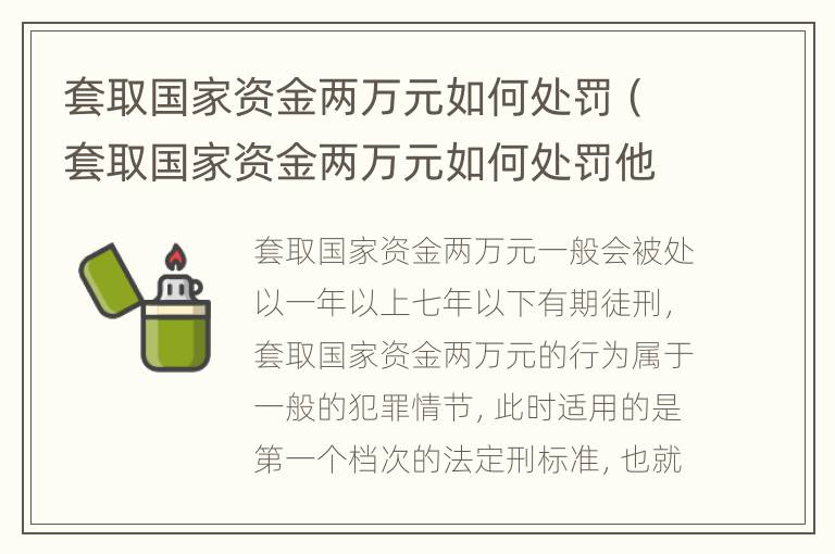 套取国家资金两万元如何处罚（套取国家资金两万元如何处罚他）