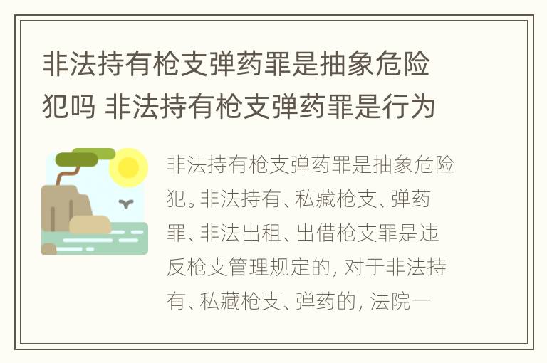 非法持有枪支弹药罪是抽象危险犯吗 非法持有枪支弹药罪是行为犯