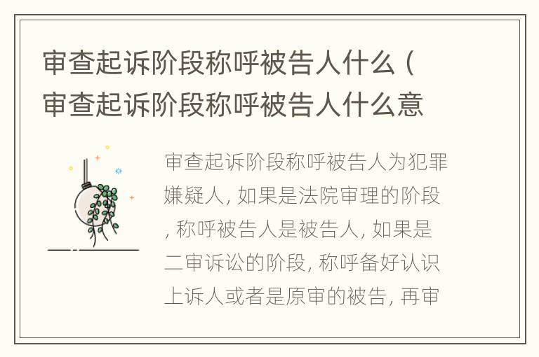 审查起诉阶段称呼被告人什么（审查起诉阶段称呼被告人什么意思）