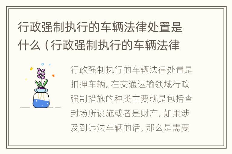 行政强制执行的车辆法律处置是什么（行政强制执行的车辆法律处置是什么性质）